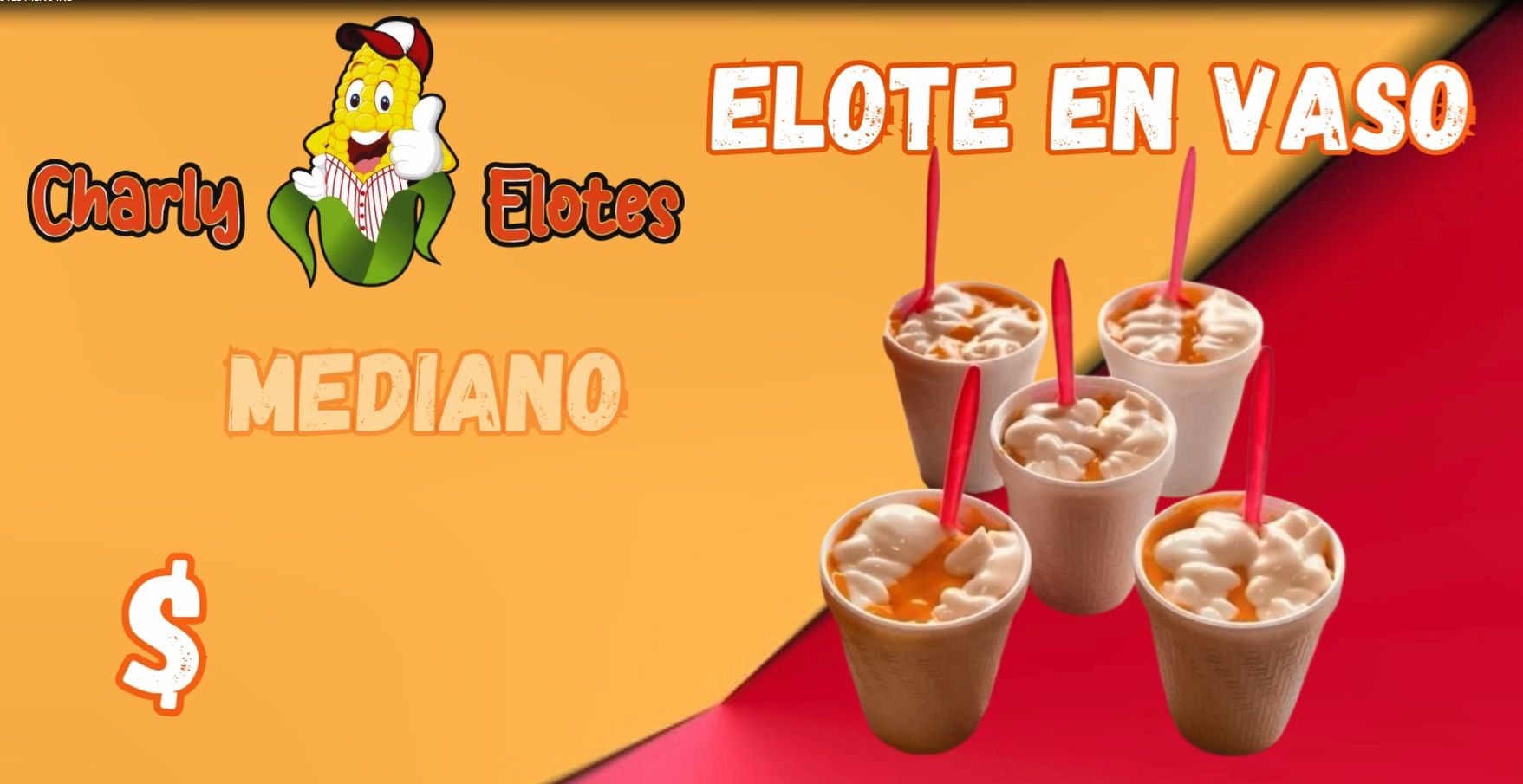 Rotulación vehículo